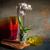 KADAX kvetináč "Menfi", kvetináč na orchideu, orchidea, Náhľad obrázku produktu 7
