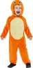 A child wearing a Charmander costume. Podgląd zdjęcia produktu