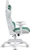 Side view of a white and green gaming chair on a white background. Produktbild-Vorschau
