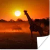MuchoWow® Poster Giraffe - Sonne - Savanne 100x100 cm - Produktbild-Vorschau 1