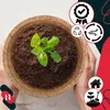 KOTARBAU® Blumentopf Pflanztopf aus Kokosfaser 14x21,5 cm Produktbild-Vorschau 8