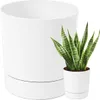 A white planter pot with a snake plant inside, placed next to a larger white planter pot. Podgląd zdjęcia produktu