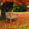 CLP Teakbank Florida teak Größe 120 cm Produktbild-Vorschau 4