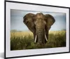 MuchoWow® Gerahmtes Poster Elefant - Natur - Gras - Tiere - Produktbild-Vorschau 1