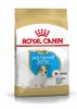 Royal Canin Jack Russell Junior, Welpe, Jack Russell Produktbild-Vorschau 5