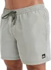 Quiksilver Everyday Deluxe Volley 15 Grape Leaf L Produktbild-Vorschau 6