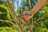 Gardena Gartenschere PremiumCut Trockenes Holz Produktbild-Vorschau 6