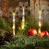 Christmas decoration with snowflake lights, pine branches, pine cones, and apples. Podgląd zdjęcia produktu