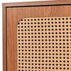 Rattanowa komoda z 2 drzwiami i 3 szufladami, regulowana Podgląd zdjęcia produktu 26