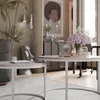 A living room scene with two round coffee tables, one in the foreground and another slightly behind and to the left. The tables are decorated with a bouquet of purple roses, glassware, and a decorative tray. A large plant is visible on the left, and a fram Voir les images du produit