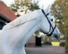 Cavallo di cuoio QHP, taglia:Purosangue, colore:nero Anteprima dell’immagine prodotto 2