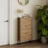 A shoe cabinet with three drawers is placed next to a white door and a large potted plant. Anteprima dell’immagine prodotto
