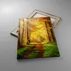 Bild auf Leinwand - Leinwandbild - Einteilig - Wald Baum Produktbild-Vorschau 2