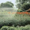 Gardena Profi-System-Spritz-Gießstab, 1 Stück(e) Produktbild-Vorschau 10