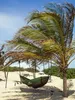 Houpací síť Amazonas Adventure Hammock coyote Náhled obrázku produktu 11