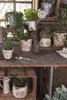 Clayre & Eef Květináč Ø 14x12 cm Růžovo-béžový keramický Náhled obrázku produktu 2