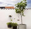 Eva Solo Futtering - verre Voir les images du produit 6