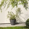 HowHomely | Jardinière - Bac à fleurs - gris - L61xH56 cm - Voir les images du produit 11