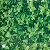 A close-up view of green leaves, likely a privacy screen or fence covering. Produktbild-Vorschau