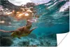 MuchoWow® Poster Meer - Schildkröte - Farben 180x120 cm - Produktbild-Vorschau 1
