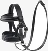 A black leather horse bridle is displayed against a white background. Náhľad obrázku produktu