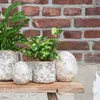 Clayre & Eef Figur Ei Ø 14x16 cm Grau Beige Keramik Blumen Produktbild-Vorschau 2