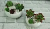 Keramik Blumentopf Schale weiß 14 cm, glasiert glänzend, Produktbild-Vorschau 6