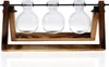 Pflanzenvasen, Terrarium-Stecklinge – Holzhalter mit Glas – Produktbild-Vorschau 9