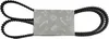Zahnriemen CASTEL GARDEN TC102 TCP102 TCR102 TCB 160x2cm Produktbild-Vorschau 2