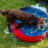 Nobby Pet Dog Pool, L, rot-blau, Ø 160 x 30 cm Produktbild-Vorschau 3