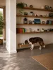 Distributore di cibo per cani da montare a parete, in legno Anteprima dell’immagine prodotto 8