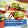 Mutterkraut |  Kräutersamen von Bingenheimer Saatgut Produktbild-Vorschau 8