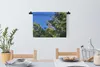 MuchoWow® Wandteppich Wandbehang Weißer Kakadu in einem Produktbild-Vorschau 3