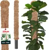 KOTARBAU® Mechová tyč pro monstery ⌀ 3,2 x 50 cm Opora pro Náhled obrázku produktu 1