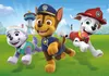 Puzzle 2x20T Supercolor Paw Patrol Produktbild-Vorschau 8