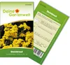 Steinkraut Goldkörbchen Samen - Alyssum saxatile - Produktbild-Vorschau 1