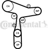 Continental ContiTech CT1168WP8PRO Zahnriemensatz + Produktbild-Vorschau 12