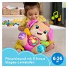 Fisher-Price Leerplezier: Vriendelijke hond Productafbeelding-voorbeeld 2