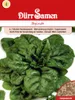 Dürr-Samen - Gründüngung Spinat Matador 1 kg - Saatgut - Produktbild-Vorschau 2