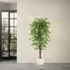 ML-Design sztuczna roślina Ficus 180cm sztuczne rośliny Podgląd zdjęcia produktu 7