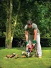 A man is using an electric chainsaw to cut branches in a garden. Produktbild-Vorschau