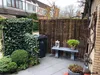 A backyard patio with a bamboo fence, ivy-covered wall, trash can, and a bench with plants. Anteprima dell’immagine prodotto