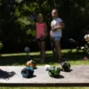 SCHILDKRÖT 970828 SCHILDKRÖT Crossboccia Familiepakket Productafbeelding-voorbeeld 13