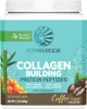 Sunwarrior Collagen Building Protein Peptides (500g) Coffee Produktbild-Vorschau 1