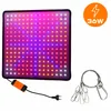 LED Pflanzenlampe 1000W Vollspektrum Panel, 225 LEDs Grow Produktbild-Vorschau 4