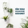 bremermann Zusatz-Pflanzenteller für Teleskop-Blumenregal Produktbild-Vorschau 6