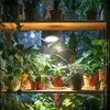lampada LED per acquari da 10 a 40 litri, Kruger Meier Anteprima dell’immagine prodotto 6