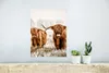 MuchoWow® Poster Schottischer Highlander - Kuh - Tiere Produktbild-Vorschau 5