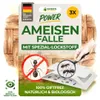 Ameisen Falle mit Spezial-Lockstoff – 3x Fallen – Ameisen Produktbild-Vorschau 1