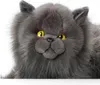 A close-up studio shot of a plush Persian cat toy. Podgląd zdjęcia produktu